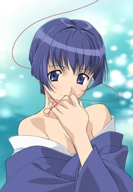 Ai Yori Aoshi Enishi