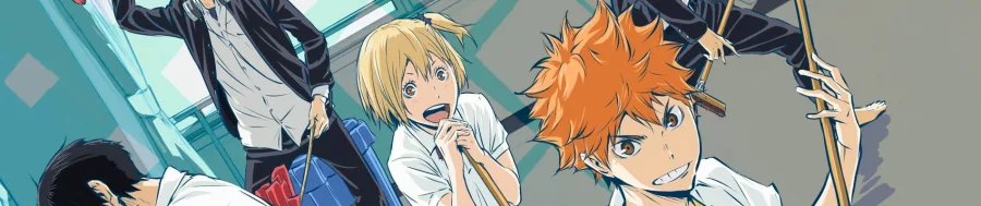 Haikyuu!! 2nd Season BG