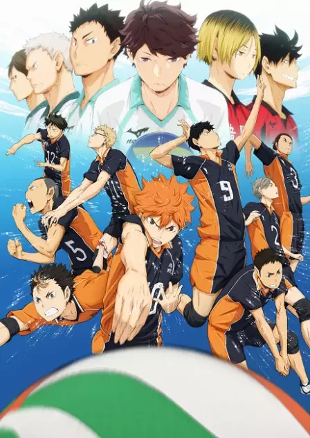 Haikyuu!! English Subbed poster