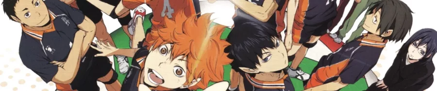 Haikyuu!! BG