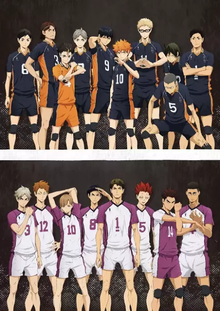 Haikyuu!!: Karasuno Koukou VS Shiratorizawa Gakuen Koukou English Dubbed poster