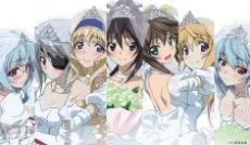 IS: Infinite Stratos 2 - Infinite Wedding English Subbed poster