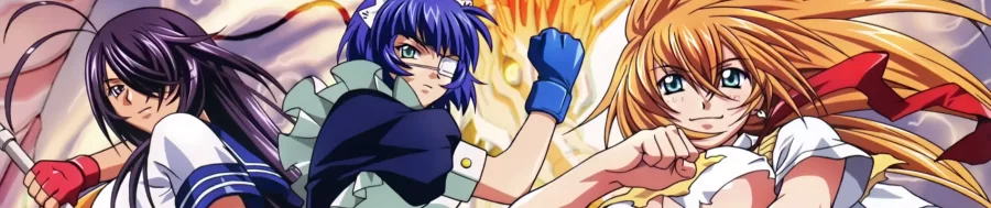 Ikkitousen Dragon Destiny BG