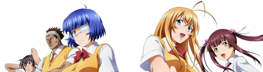 Shin Ikkitousen BG