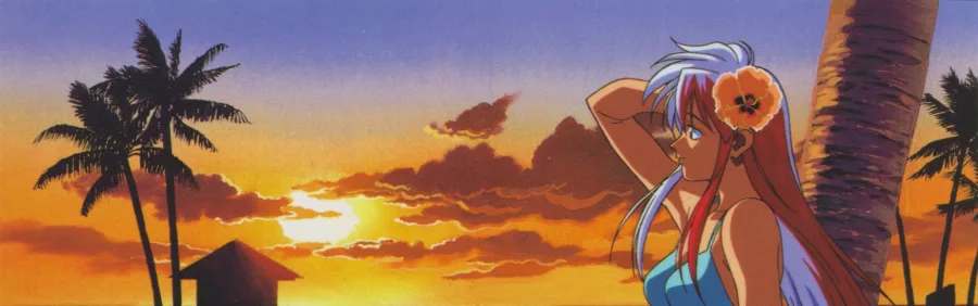 Tetsuwan Birdy BG