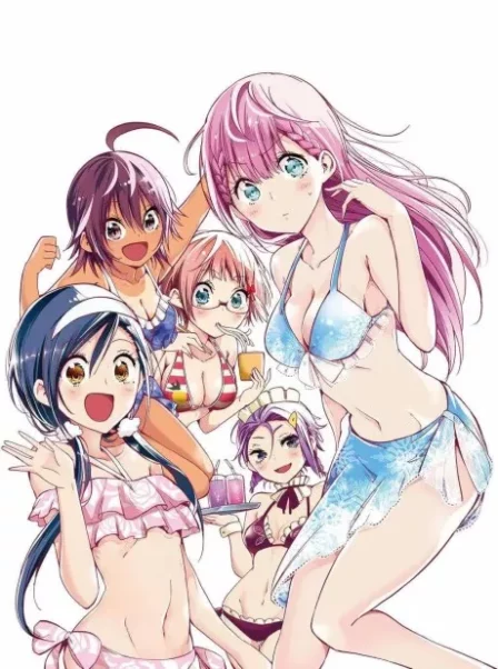 Bokutachi wa Benkyou ga Dekinai OVAs English Subbed poster