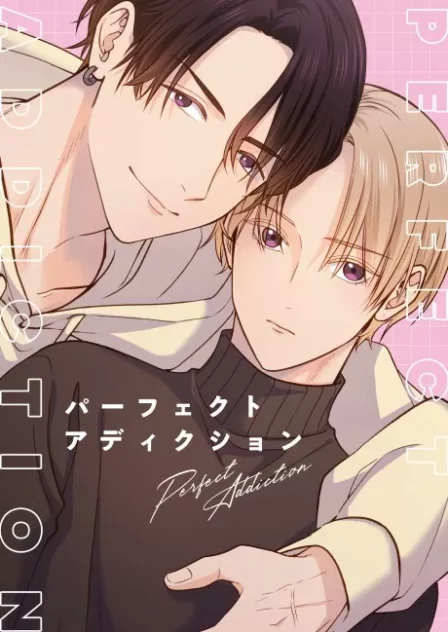 Perfect Addiction English Subbed poster